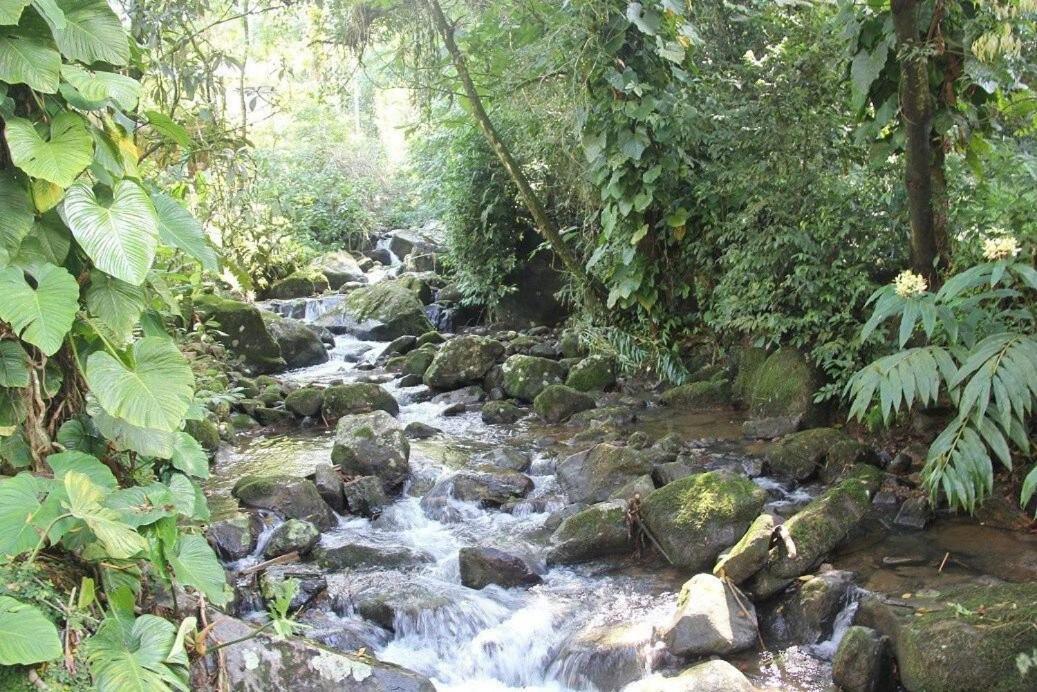 Refúgio romântico em meio à natureza Penedo (Rio de Janeiro) Exterior foto