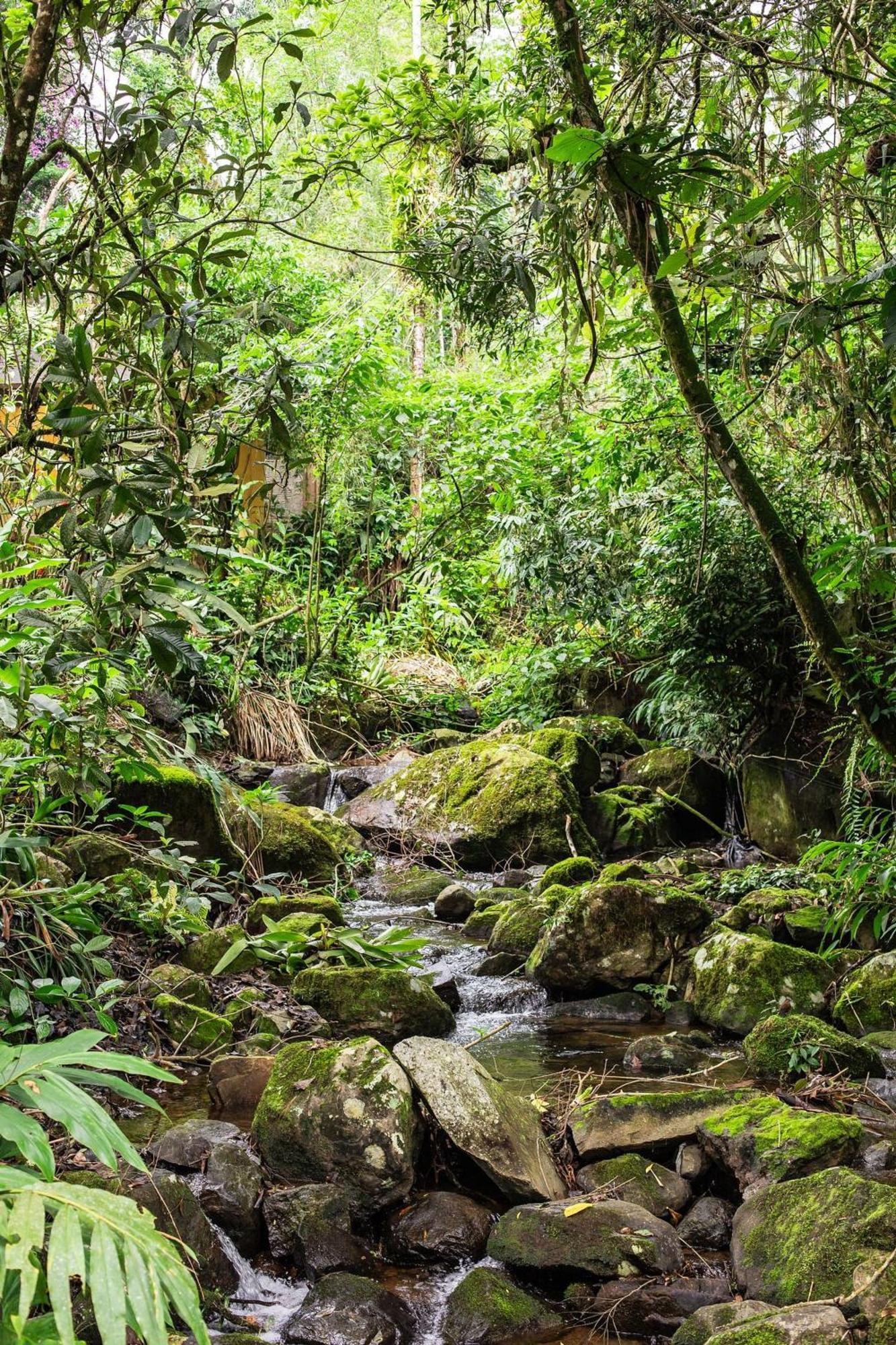 Refúgio romântico em meio à natureza Penedo (Rio de Janeiro) Exterior foto
